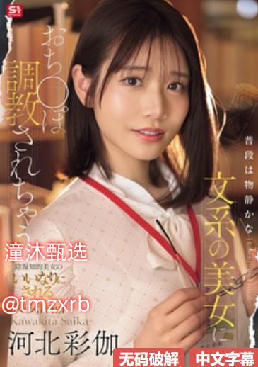 新金梅瓶No.1 STYLEシリーズ,无删减完整版观看免费